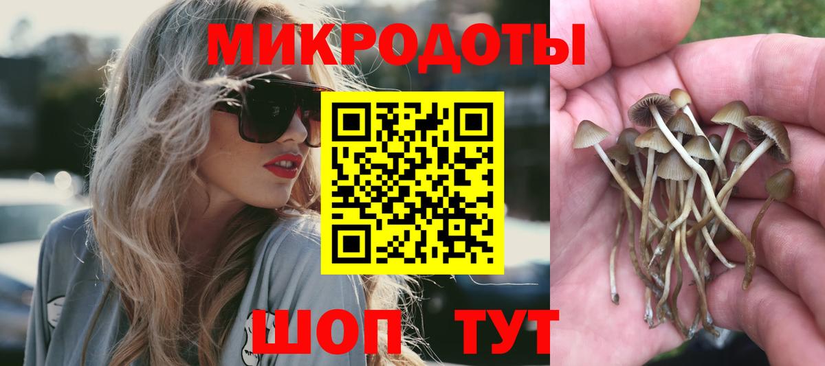 Галлюциногенные грибы GOLDEN TEACHER  Вход с VPN  Джанкой 