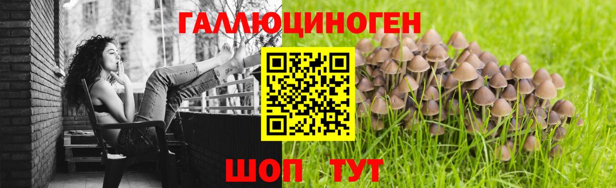 Псилоцибиновые грибы ЛСД Джанкой
